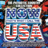 Various Artists - Now That's What I Call the U.S.A. (The Patriotic Country Collection)  artwork