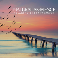Ayurveda - Natural Ambience: Relaxing Therapy Songs, Yoga Meditation, Spa, Massage, Soothing Sounds for Sleep artwork