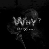 Why (feat. L.A.X) artwork