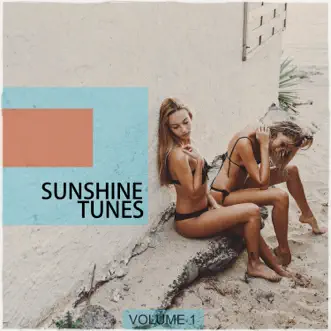 Sunshine Tunes, Vol. 1 by Various Artists album reviews, ratings, credits