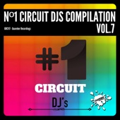 Nº1 Circuit Djs Compilation, Vol. 7 artwork