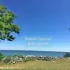 Nature Groove album lyrics, reviews, download