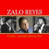 Un Ramito De Violetas by Zalo Reyes iTunes Track 22