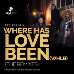 Feelosophy - Where Has Love Been (WHLB) [Shane D Remix]