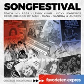 Favorieten Expres: Songfestival Hits artwork