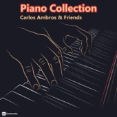 Piano Collection (feat. Gabriel Garcia Tello & Miguel Aria) artwork