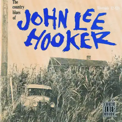 The Country Blues of John Lee Hooker (Remastered) - John Lee Hooker
