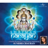 Shriman Narayan (Satyanarayan Sankirtan) artwork