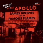 James Brown & The Famous Flames - There Was A Time
