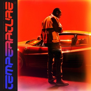 Temperature - Single