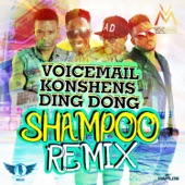 Shampoo (feat. Konshens & Ding Dong) [Remix] artwork