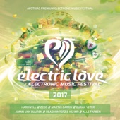 Electric Love 2017 artwork
