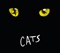 Gus: The Theatre Cat - Andrew Lloyd Webber & Original Cast of 