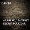 Arabesk / Fantazi Seçme Şarkılar (Damar)