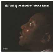Muddy Waters - Standing Around Crying