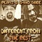 Different from the Rest (feat. G-Mo Skee) - Playz lyrics