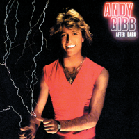 Andy Gibb - After Dark artwork