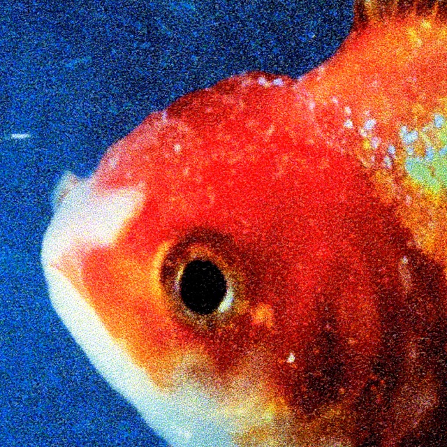 Big Fish Theory Album Cover