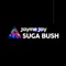 Suga Bush - Jayme Jay lyrics