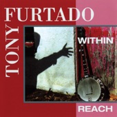 Tony Furtado - Waiting For Guiteau / President Garfield's Hornpipe