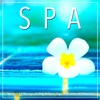 Spa Music For Massage, Healing, Wellness, Yoga, Meditation and Relaxation