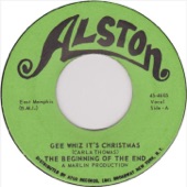 Gee Whiz, It's Christmas - Single