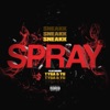 Spray (feat. Tyga & YG) by Sneakk iTunes Track 1