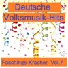 Deutsche Volksmusik-Hits: Faschings-Kracher, Vol. 7