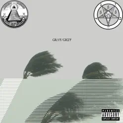 Gray/Grey - $uicideboy$