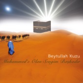 Göster bize Nur Yüzünü Ya Muhammed artwork