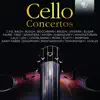 Cello Concerto in D Minor: III. Introduction. Andante - Allegro vivace song lyrics