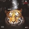 Been Had It (feat. Payroll Giovanni) - ZG Juan lyrics