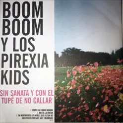 Sin Sanata y Con el Tupe de No Callar - Single - Boom Boom Kid