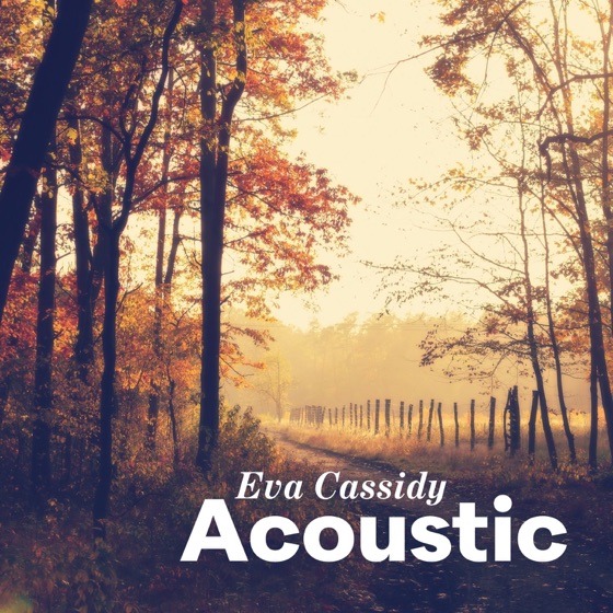 Cover artwork for Wade in the Water (Acoustic)