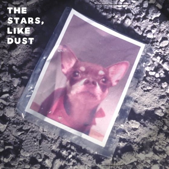 Cover artwork for The Stars, Like Dust