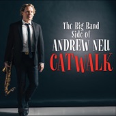 Andrew Neu - Catwalk