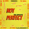 Stream & download Not Perfect - Single