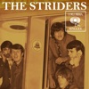 The Striders - Do It Now