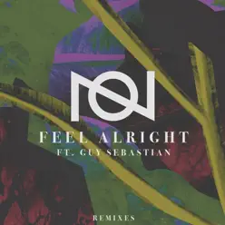 Feel Alright (feat. Guy Sebastian) [Remixes] - Single - Oliver Nelson