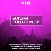 Autumn Collective 01 artwork