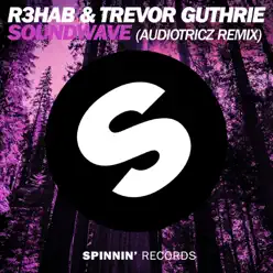 Soundwave (Audiotricz Remix) - Single - Trevor Guthrie