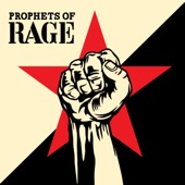Prophets of Rage artwork