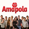 Amapola - Quiero ser tu amor