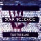 Perfect Time - Junk Science lyrics