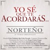 Yo Sé Que Te Acordarás - Norteño