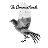 The Common Linnets artwork