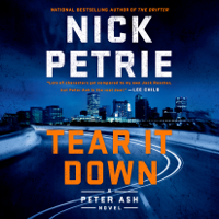 Nick Petrie - Tear It Down (Unabridged) artwork