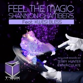 Feel the Magic (feat. Kwesi Bless) [Shannon's Mahogany Soul Mix] artwork