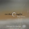 Pádraigín Ní Uallacháin - Faidear Mo Mhuirnín Fháinnigh