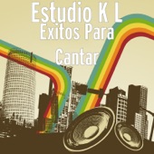 Éxitos Para Cantar artwork